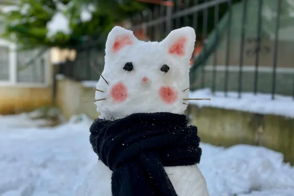 cat made out of snow with scarf